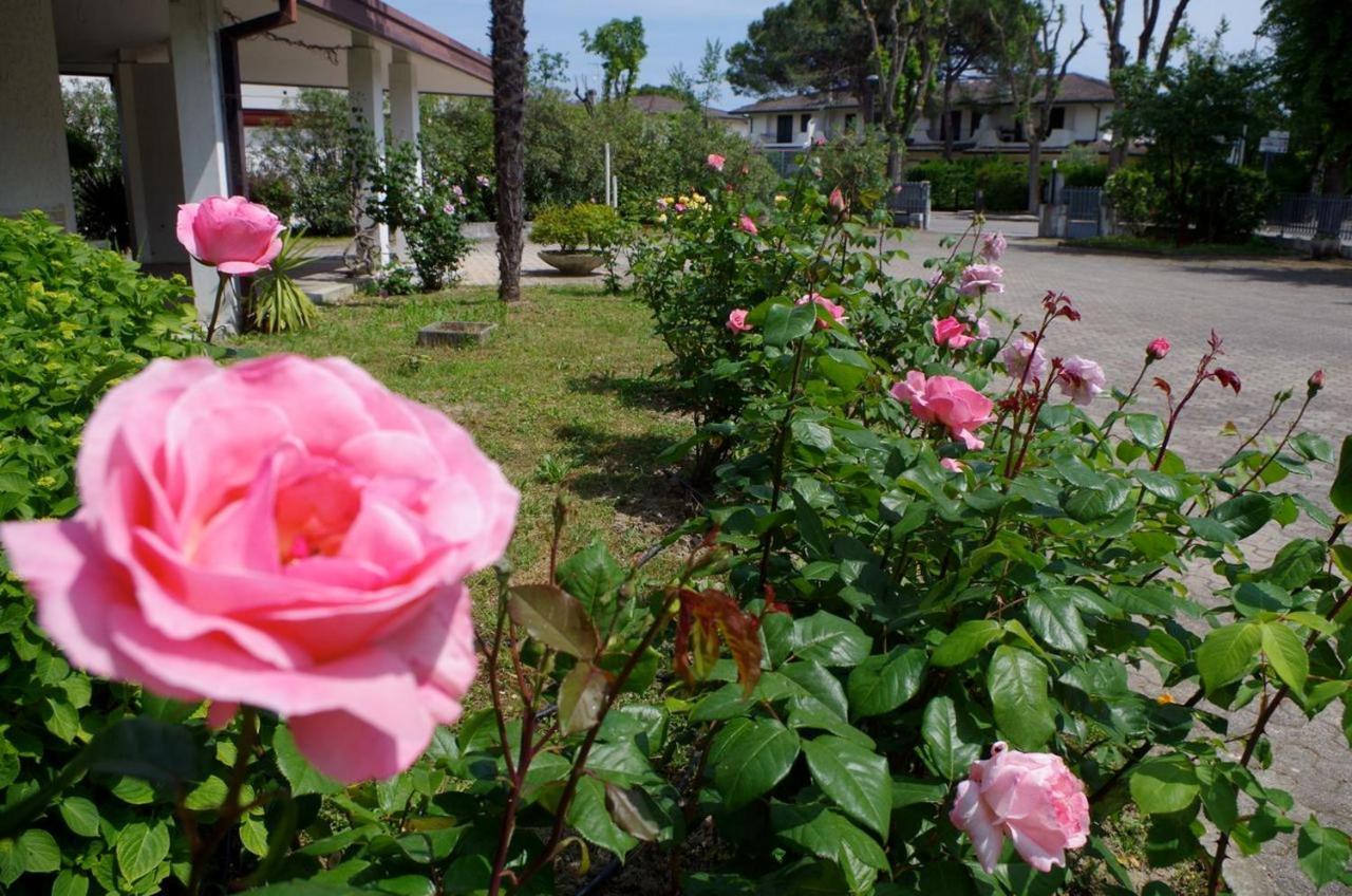 Bed & Breakfast Cà D'artisti